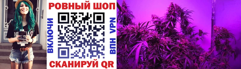 Магазин наркотиков Сим Галлюциногенные грибы  Конопля  Альфа ПВП  МЕФ  КОКАИН  kraken как зайти  ГАШ 