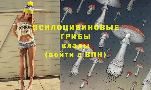 амфетамин Арсеньев