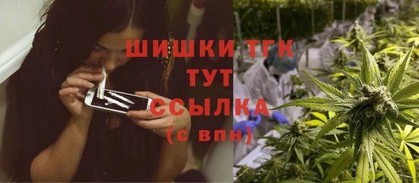 ПСИЛОЦИБИНОВЫЕ ГРИБЫ Аркадак